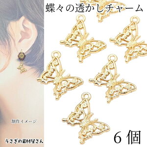 `[ X 15mm  6 S[hF p[c o^tC 傤 lbNXgbv nhChp[c ̑fމ ANZT[p[c `[