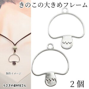 ySSy15ItI2000~OFFN[|!!zLmR `[ 30mm 2 WEF ̂ t[`[ Wg g H ANZT[p[c ̑fމ nhChp[c H