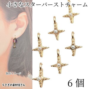  `[ X^[o[Xg 6 8mm p[ ~j p[`[ ANZT[p[c ̑fމ nhChp[c FG