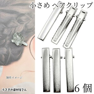wANbv  41mm×7mm 6 WEF Ƃs Xg[g  wAANZT[ p nhChp[c ̑fމ wAs ANZT[p[c