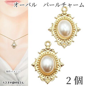 `[ ȉ~@23mm×17mm@2 AeB[N p[`[ i Vv lC nhCh p[c ̑fމ ANZT[p[c