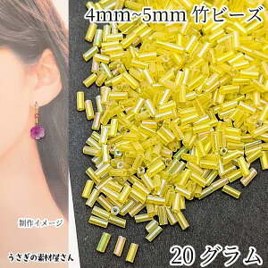 yX|Cg{3{z{ŏII|r[Y 4mm`5mm r[Or[Y KXr[Y 20O CG[n r[YD r[YhJ rW[ nhChp[c ̑fމ AN