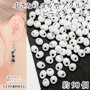  AN`[ 5mm×4mm 90 hbv r[Y `[ zCg F  eBAhbv nhChp[c ̑fމ ANZT[p[c
