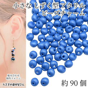 yX|Cg{3{z{ŏII AN`[ 5mm×4mm 90 hbv r[Y `[ u[ F  eBAhbv nhChp[c ̑fމ ANZT[