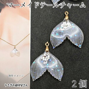 yXP{5{Iz{ő1,000~N[|I}[Che[ `[ } 25×27mm 2 l̂  C̐  }p[c ANZT[p[c ̑f