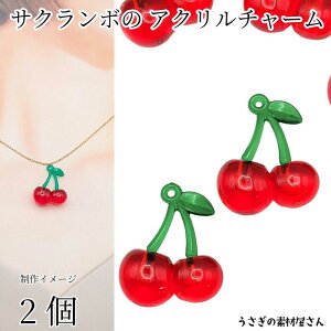  `[ 32mm×26mm 2 ANp[c `F[ t[c`[ ANZT[p[c ̑fމ Jr[ g p[c t  ʕ