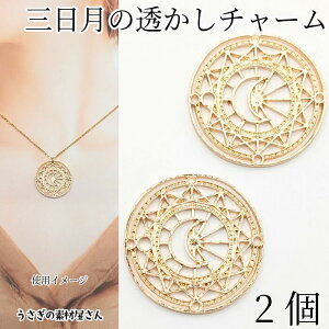 `[ O  a30mm 2 S[hF  y_ggbv AeB[N @w FG Wg ANZT[p[c ̑fމ nhChp[c