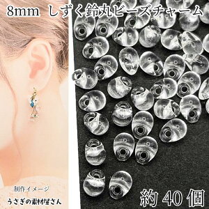 ۃr[Y hbv NA F 8mm 40 AN eBAhbv  r[Y Vv ʂ ̑fމ nhChp[c ANZT[p[c