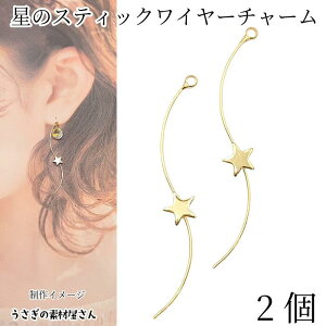 C[`[  50mm 2 S[hF A EF[ufUC X^[ FG XeBbN`[ nhChp[c ̑fމ ANZT[p[c