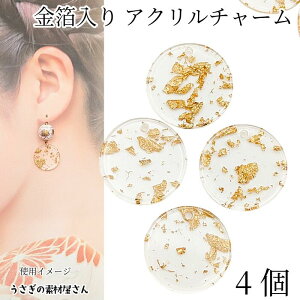 yXP{5{Iz{ő1,000~N[|IAN`[ S[hNbV T[N 20mm 4 NA  ANZT[p[c ̑fމ nhCh p[c