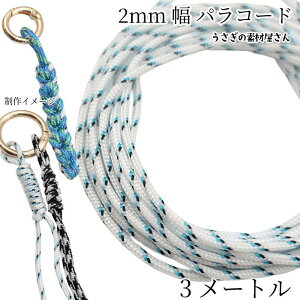 y撅IN[|zzIzyő2000~OFFzSSIpR[h 2mm 3[g |GXe R Ђ zCgn J[[v Xgbv uXbg ̑fމ n