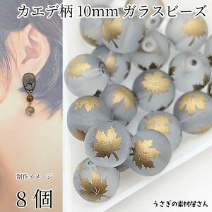 KXr[Y ̗t JGf 10mm 8 S[hF dCbLvg r[Y r[Yp[c H nhChp[c ̑fމ ANZT[p[c