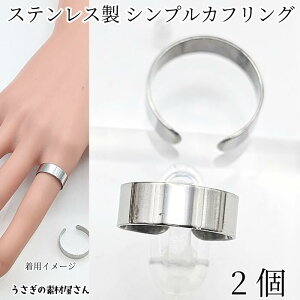 yXP{5{Iz{ő1,000~N[|Iw JtO Vv 304XeX 17mm 2 XeXF C[Jtɂ ANZT[p[c ̑fމ w֋ A