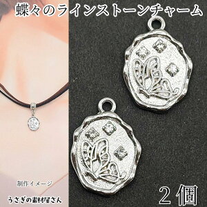 X `[ 17mm 2 WEF o^tC 傤 NA CXg[t I[o `[ y_ggbv ANZT[p[c ̑fމ nhChp[c