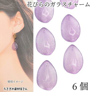 t[`[ Ԃт t KXp[c 21mm p[v 6 Xv[h {^jJ ԃp[c ʂ ̑fމ t nhChp[c ANZT[p[c