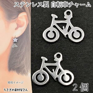 ] `[ 201XeX 17mm×14mm XeXF 2 蕨 ~j`AoCN  ^`[ ̑fމ nhChp[c ANZT[p[c