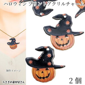 nEB AN `[ ڂ 34mm 2 @g vg`[ J{` pvL WbNI[^ H Halloween ̑fމ nhChp[c