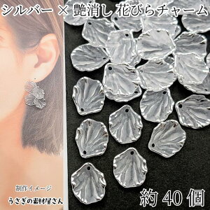 yXP{5{Iz{ő1,000~N[|It[  r[Y `[ Ԃт 17mm 40 tXg zCgF Vo[C t t[`[ ̑fމ