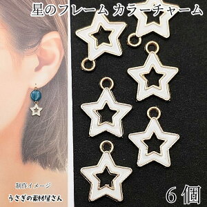 yő2000~OFFzubNtCf[I t[ J[`[ zCg 6 14mm S[hF X^[ g ANZT[p[c ̑fމ nhChp[c FG V