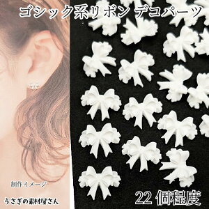 fRp[c SVbN { \t p[c 10mm×12mm 22x zCg F nhChp[c ʃtbg ̑fމ ANZT[ AW ڂp[c