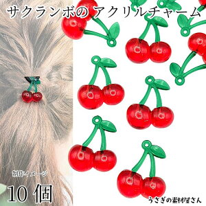  `[ 32mm×26mm 10 ANp[c `F[ t[c`[ ANZT[p[c ̑fމ nhChp[c t  ʕ