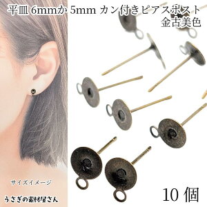 sAX p[c M 6mm5mm Jt 10   ÔF jbPt[t ݂艺sAX ANZT[p[c ̑fމ nhChp[c bsAX