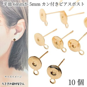 sAX p[c M 6mm5mm Jt 10   S[hF jbPt[t ݂艺sAX ANZT[p[c ̑fމ nhChp[c bsAX