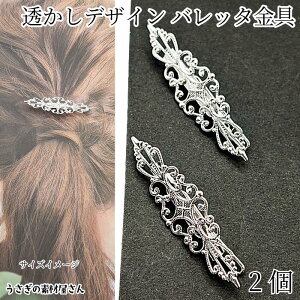 ob^  fUC 16mm×57mm 2 Vo[F AeB[N wAANZT[ޗ ig ܂Ƃߔ ZbeBO nhChp[c ̑fމ