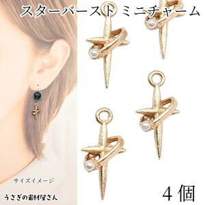 yX|Cg{3{z{ŏII `[ X^[o[Xg 4 14mm×8mm p[ ~j p[`[ f̊ ANZT[p[c ̑fމ nhChp[c FG