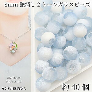 y撅IN[|zzIzyő2000~OFFzSSIKXr[Y 8mm 40 X`[u[  NbNr[Y }bgr[Y Ђъr[Y lC̃ANZT[p[c ̑f