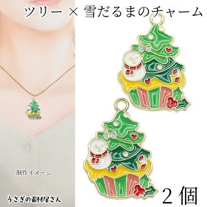 `[ c[ Ⴞ 25mm 2 NX}X`[ ~ nhChp[c ̑fމ GiJ[`[ NX}XJ[ ANZT[p[c