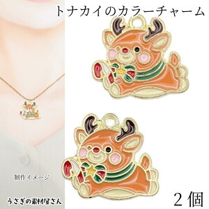 `[ giJC 21mm 2 NX}X`[ ~ nhChp[c ̑fމ GiJ[`[  NX}XJ[ ANZT[p[c