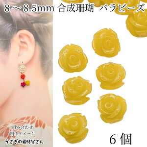 yXP{5{Iz{ő1,000~N[|It[r[Y  X KN r[Y 8mm`8.5mmO 6 CG[ F  [Y ʂ TS ANZT[p[c ̑fމ