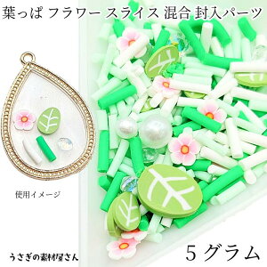 y{3{IőP6{Iz_ڊӃf[^p[c W t  Ȃ p[r[Y XeBbN_ ~bNX5O 5mm`10mmx W VFCJ[[h p[c 