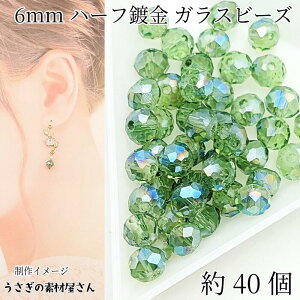 yXP{5{Iz{ő1,000~N[|IKXr[Y {^Jbg 6mm 40 CgO[n Όn dCbL  f O[bL ʂ r[Y ޗ 