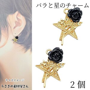 KN  `[ 20mm 2 o [Y X^[ p[c o  t[`[ ANZT[p[c ̑fމ nhChp[c A ΂̃`[ FG