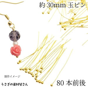 y{3{IőP6{Iz_ڊӃf[^A ʃs 30mm 80{O S[hF ^J nhCh b {[s ۃs ڑp[c ANZT[p[c ̑fމ