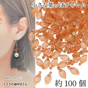  t `[ [tr[Y 10mm 100 TfBuEn r[Y`[ [t ANr[Y A ̑fމ nhChp[c | ޗ