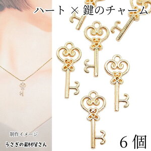  `[ n[g XeBbN `[ 23mm 6 g AeB[N `[t Wg ANZT[p[c ̑fމ L[`[ nhChp[c