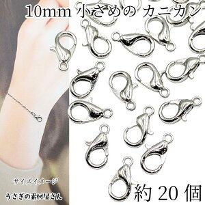 JjJ ߋ 10mm 20 WEF nhChp yA   ߋ ANZT[p[c ̑fމ b lbNX uXbg