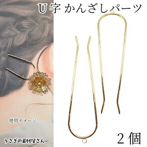 񂴂 U 񂴂 wAXeBbN 2{ S[hF ܂Ƃߔ wAANZT[ ig wAtbN nhChp[c ̑fމ ANZT[p[c  