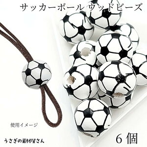 Ebhr[Y 15.5mm 6 TbJ[{[ ؐp[c [sAr[Y ̑fމ nhChp[c X|[c`[ LbY ANZT[p[c