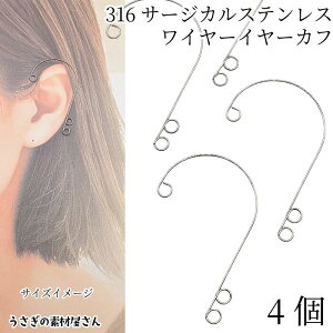 yXP{5{Iz{ő1,000~N[|IC[Jt 316 T[WJXeX 55mm 4 C[ NC}[CO AM[΍ msAX ̑fމ ANZ