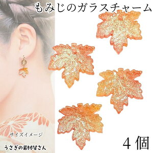 yő2000~OFFzubNtCf[I`[ ݂ 16mm 4 IW KX`[ gt a JGf H nhChp[c ̑fމ [t`[ ANZT[p[