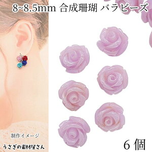 yXP{5{Iz{ő1,000~N[|It[r[Y  X KN r[Y 8mm`8.5mmO 6 CbN F  [Y ʂ TS ANZT[p[c ̑f