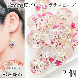 KXr[Y  12mm 2 NA F  vgr[Y TN a ԕ a t[r[Y t nhChp[c ̑fމ ANZTp[c