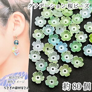 ySSy15ItI2000~OFFN[|!!zt[r[Y 10mm 80 Of[V p[ CO[ ~bNXJ[  r[Y ANZT[p[c ̑fމ nh