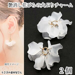 A `[ Ԃт Ԃ 2  zCgF  t[y_g  hp[c nhCh p[c ̑fމ ANZT[p[c hbV[ | ޗ