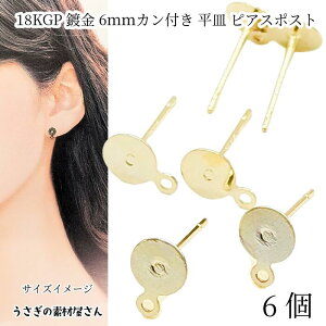 �s�A�X 18kgp 6mm ���M �J���t���s�A�X 6�� ���� �s�A�X���� �ϐF���ɂ��� �{���t�� �n���h���C�h �p�[�c �������̑f�މ����� �A�N�Z�T���[�p�[�c �A�����W�p�[�c �I���W�i���s�A�X��