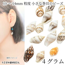 巻貝 シェルビーズ 10mm〜14mm程度 4グラム量り売り 15個前後 スパイラルシェル パーツ 天然素材 貝 海 うさぎの素材屋さん シェルパーツ マリン 夏のハンドメイドパーツ
